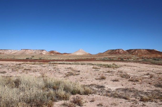Cooberoutback4.jpg